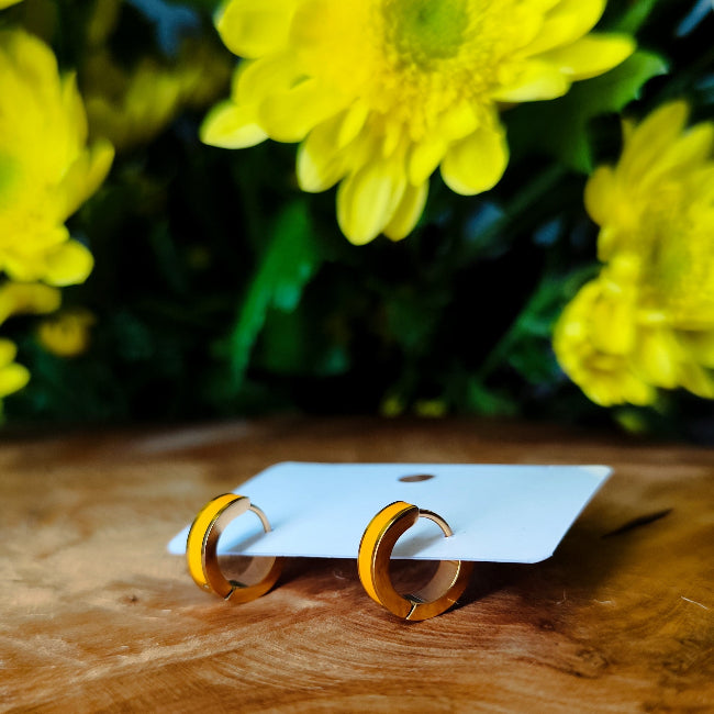 Sleek Hoops