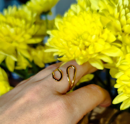 Dual Soul Ring