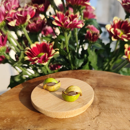 Luna Curve Earrings